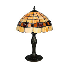 Интерьерная настольная лампа Almendra OML-80504-01